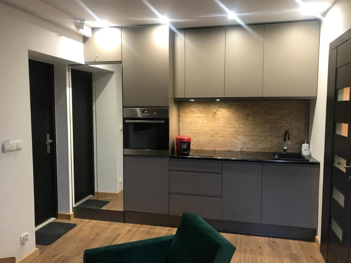 זקופאנה Apartamenty Mecenasowka מראה חיצוני תמונה